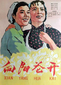 白木优子在线视频